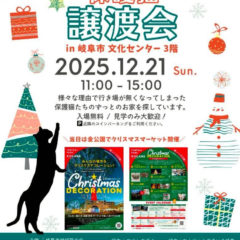１２月２２日（日）岐阜市文化センター保護猫譲渡会開催
